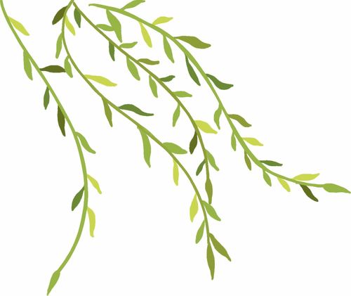 今年南寧人的歌來(lái)了 邕江組曲系列音樂(lè)電視作品上線發(fā)布 活動(dòng)回顧