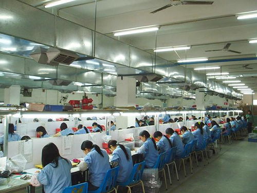 高考狂魔連續復讀14年,把高考做成一門生意經,最終被生活反噬