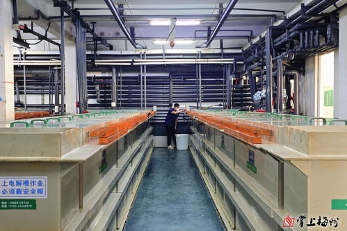 無廢工廠，向綠而行——記者帶你探訪博敏電子股份電器制造基地